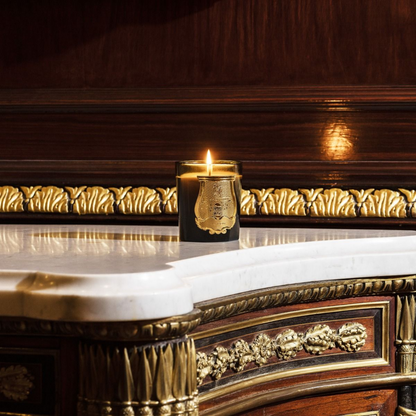 alternate image of trudon gabriel candle