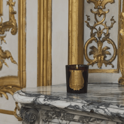 Alternate Image of Solis Rex Candle
