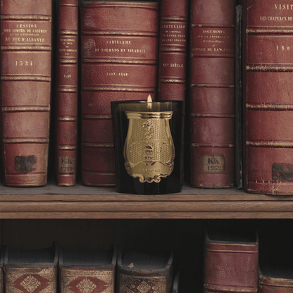Alternate Image of Spiritus Sancti Candle