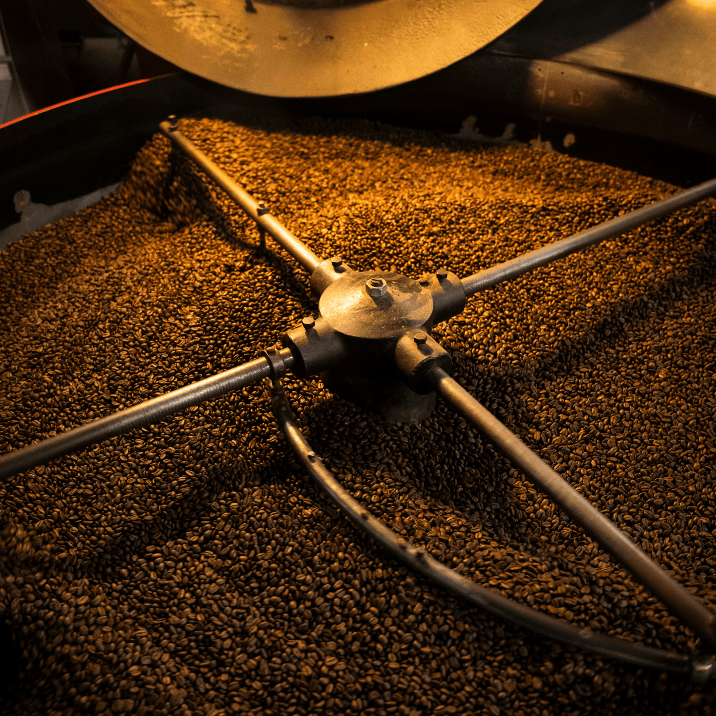 Alternate Image of Herbal Harmony Coffee