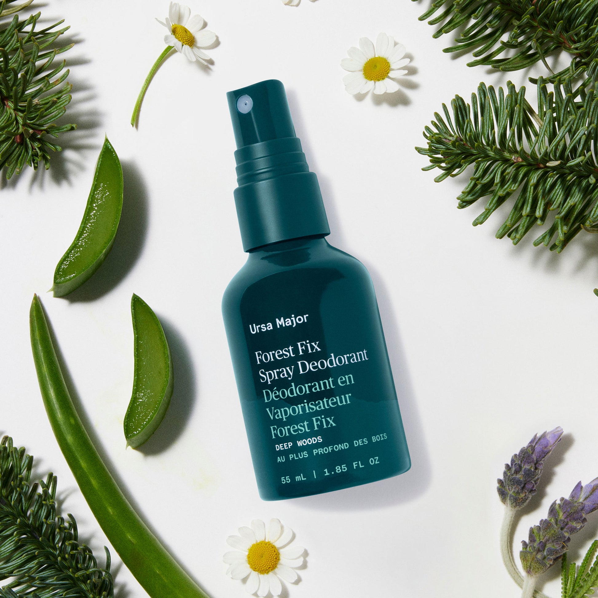 Alternate Image of Forest Fix Spray Deodorant, dark green spray deodorant