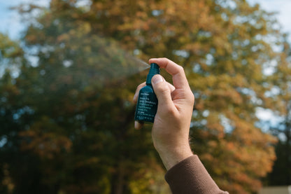 Alternate Image of Forest Fix Spray Deodorant, dark green spray deodorant