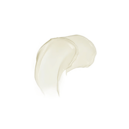 Alternate Image of Rejuvenating Night Cream