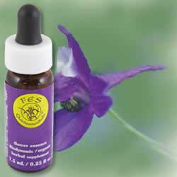 Primary image of Larkspur