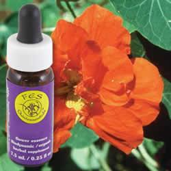 Primary image of Nasturtium