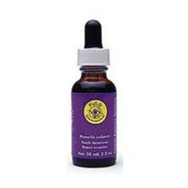 Primary image of Self Heal
