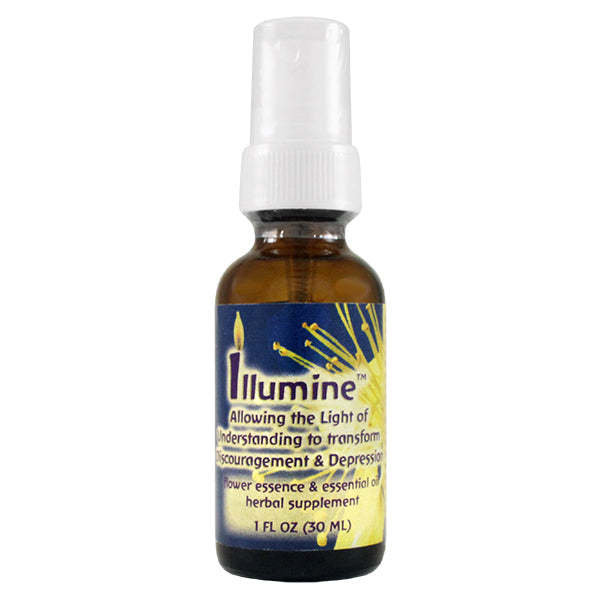 Primary image of Illumine