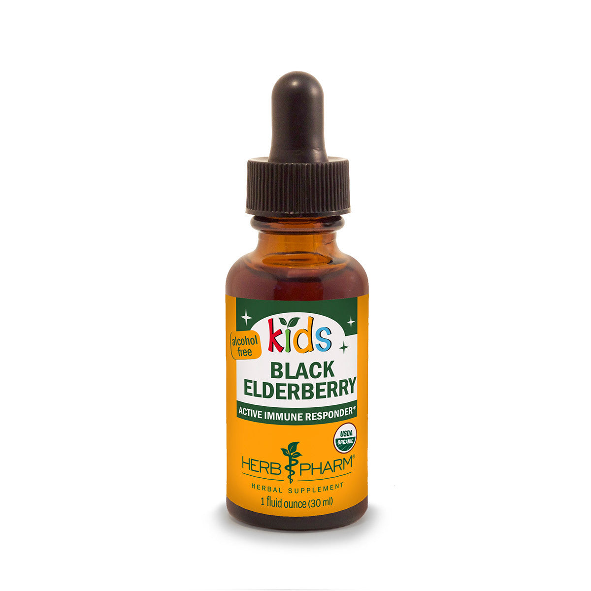 Primary image of Kids Black Elderberry Glycerite