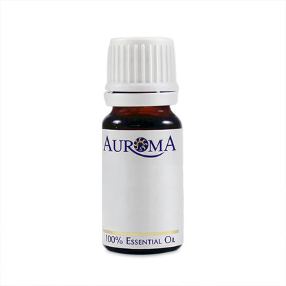 Primary image of Rose Damascena Essential Oil 3% in jojoba