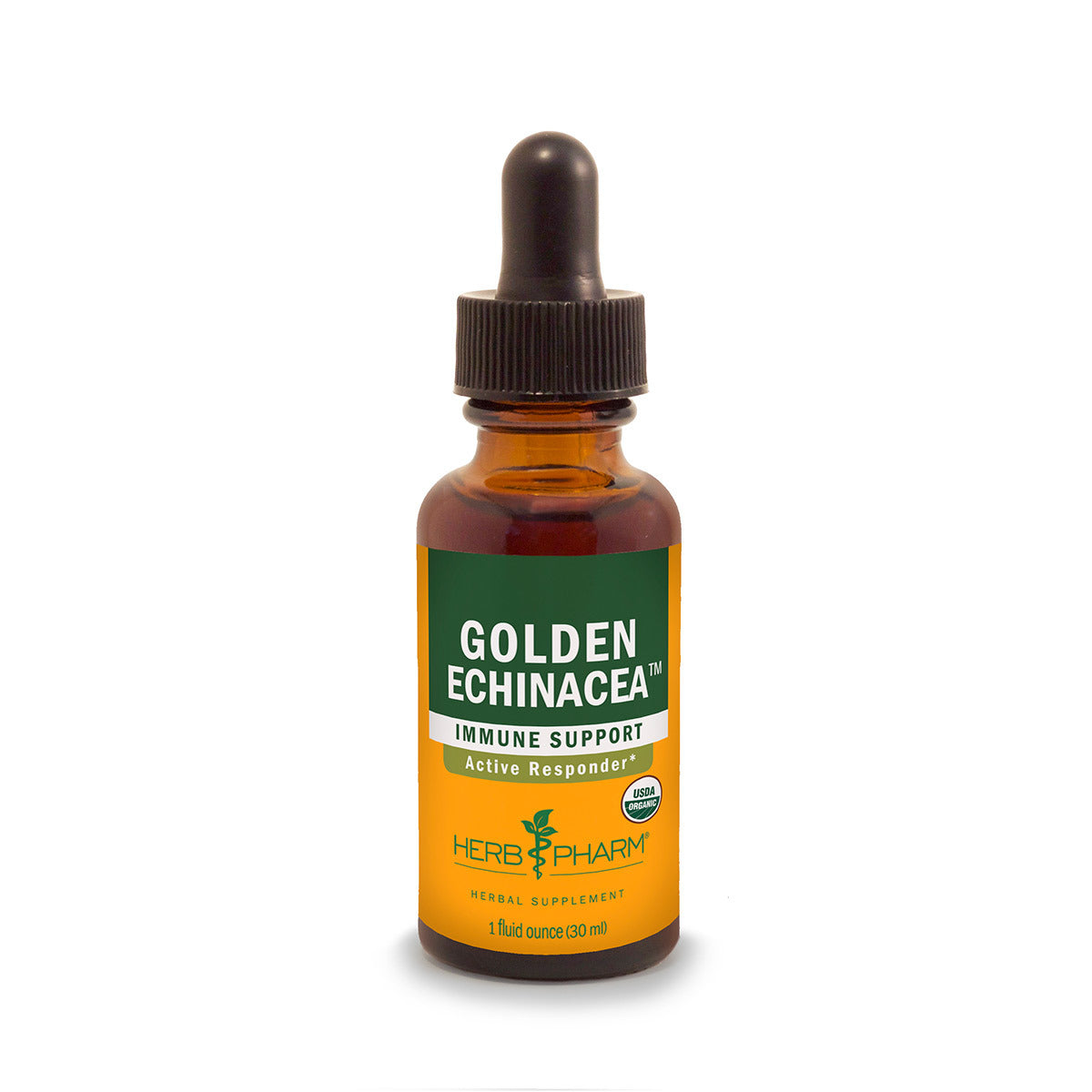 Primary image of Golden Echinacea