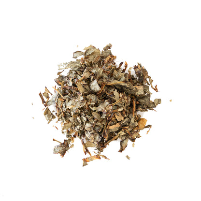 Primary Image of Bears Garlic (Barlauchtee)