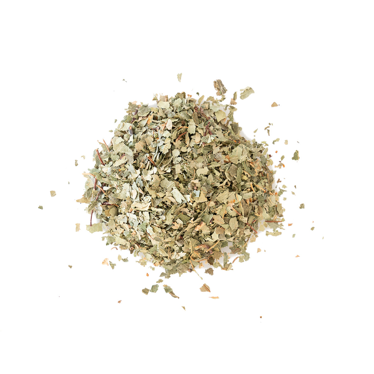 Primary Image of Birch Leaves - Cut (Betula verruscosa)