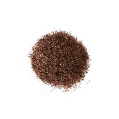 Primary Image of Corn Silk - Cut (Zea mays)