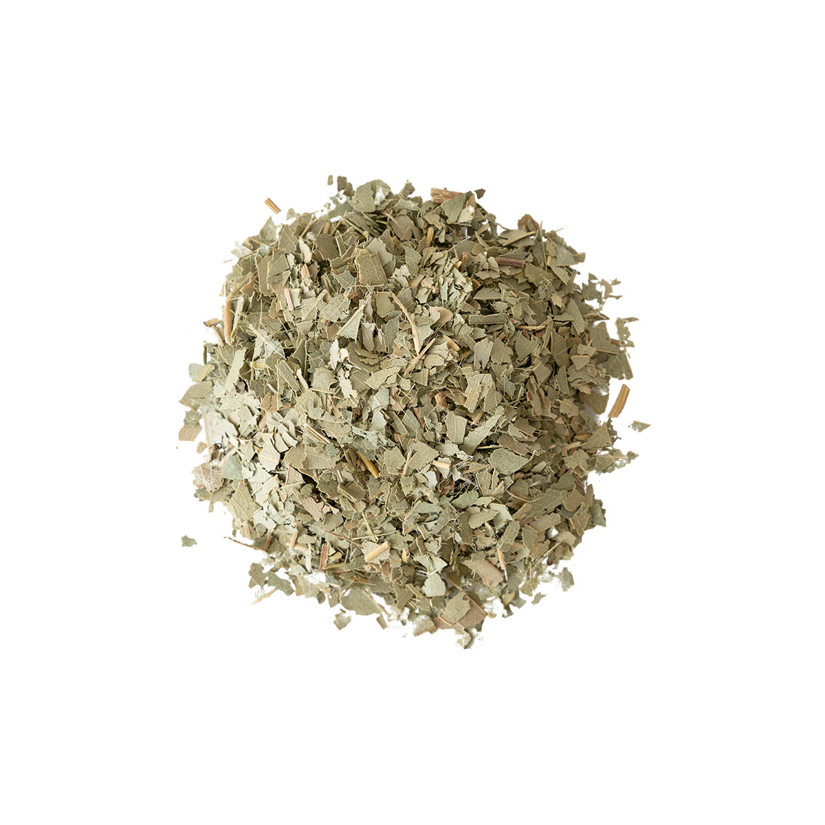Primary Image of Eucalyptus Leaves (Eucalyptus globulus)