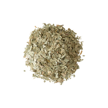 Primary Image of Eucalyptus Leaves (Eucalyptus globulus)