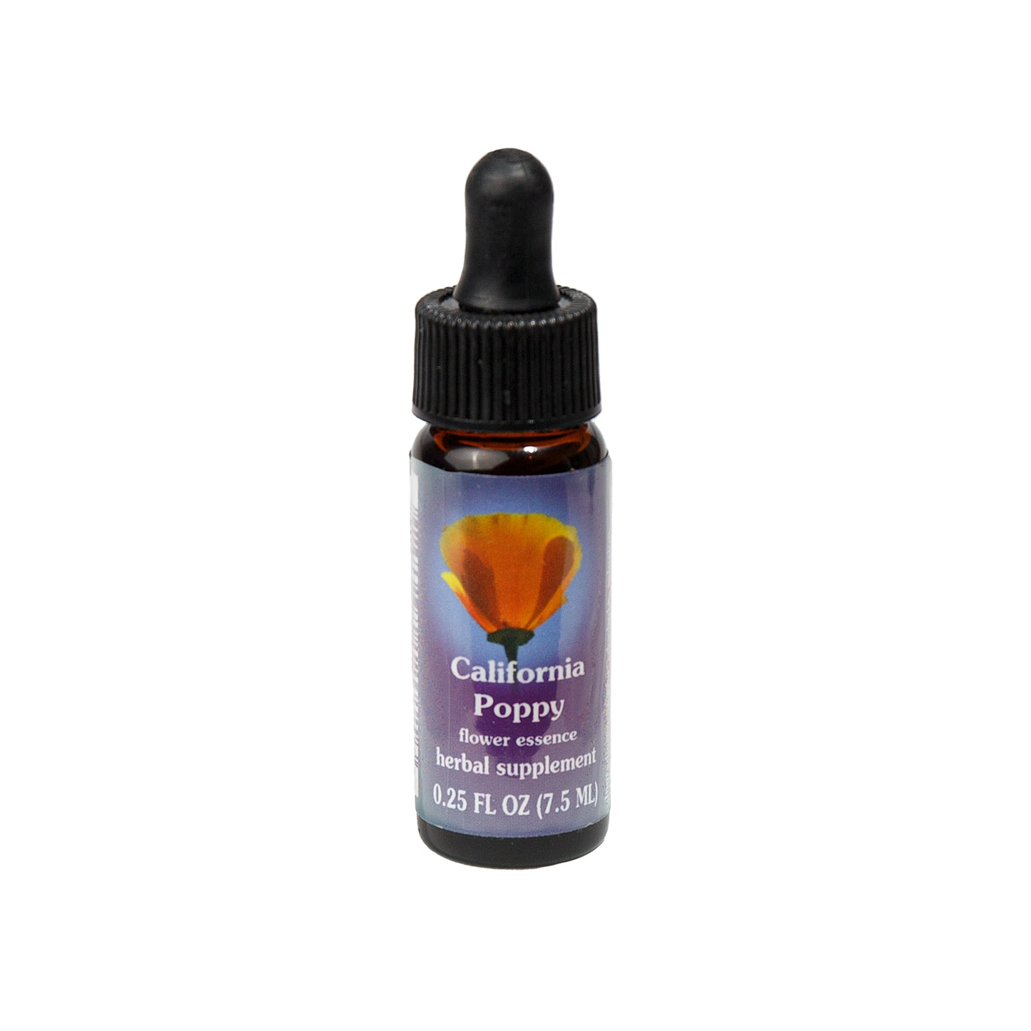 Primary image of California Poppy