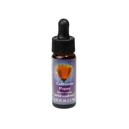 Primary image of California Poppy