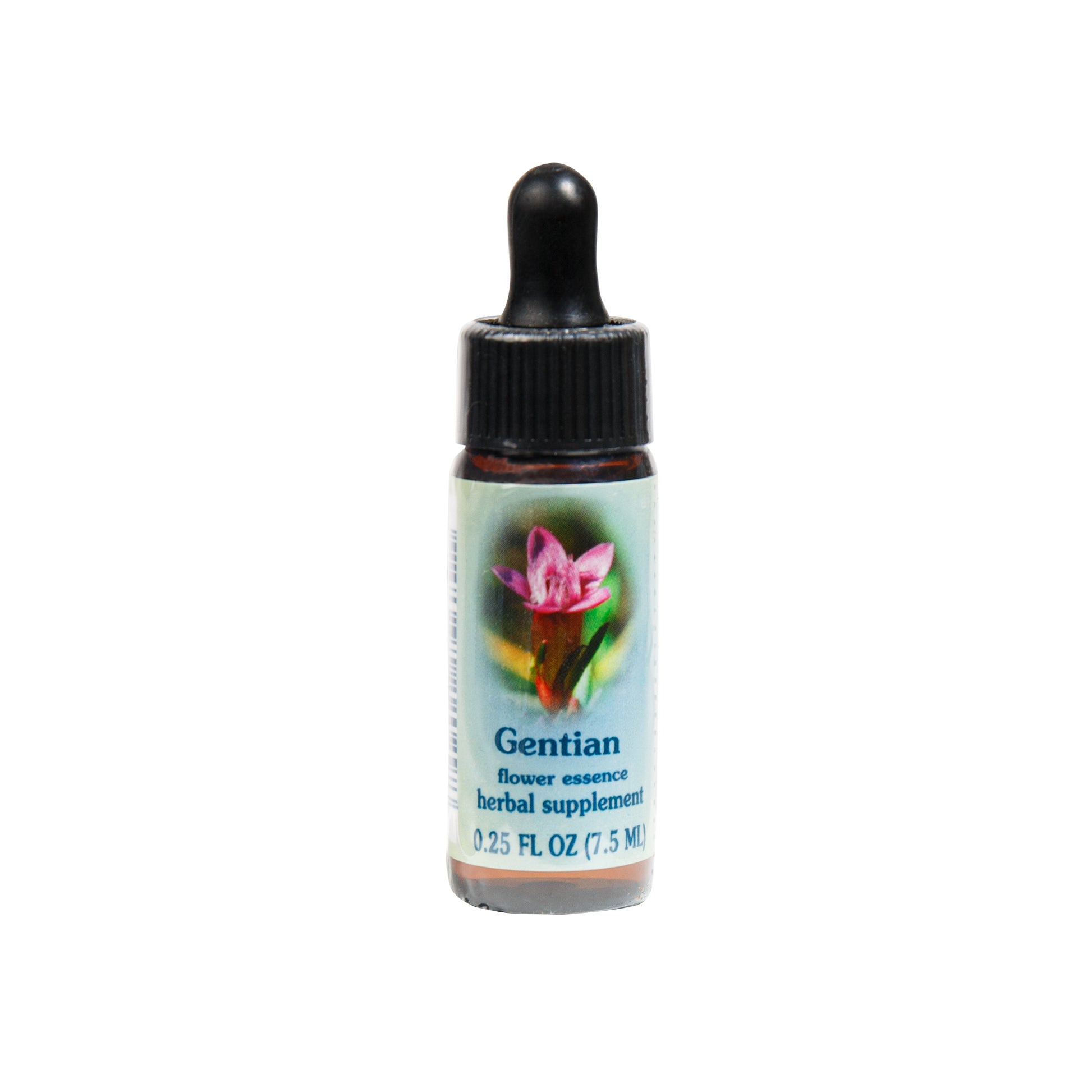 Primary image of Gentian