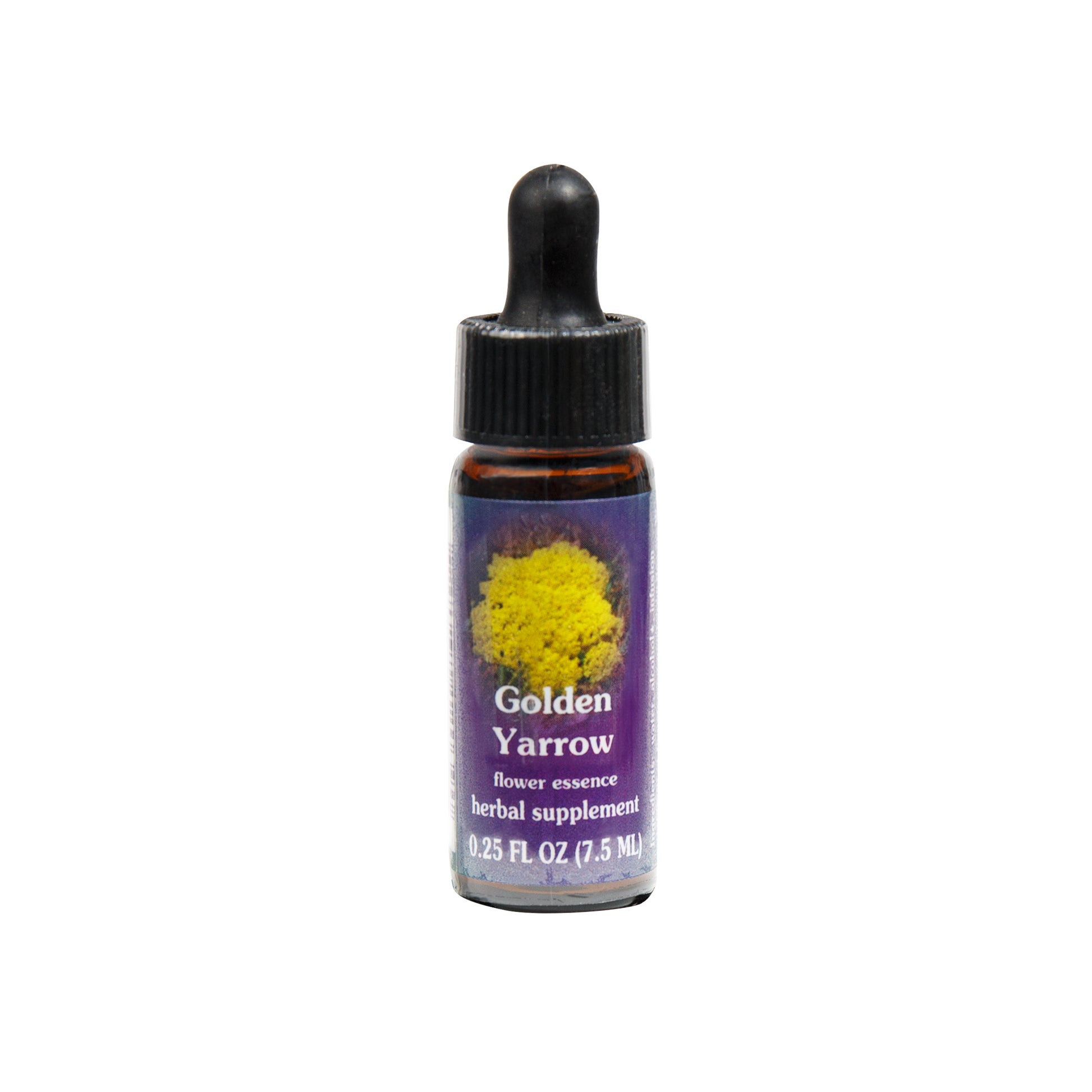 Primary image of Golden Yarrow