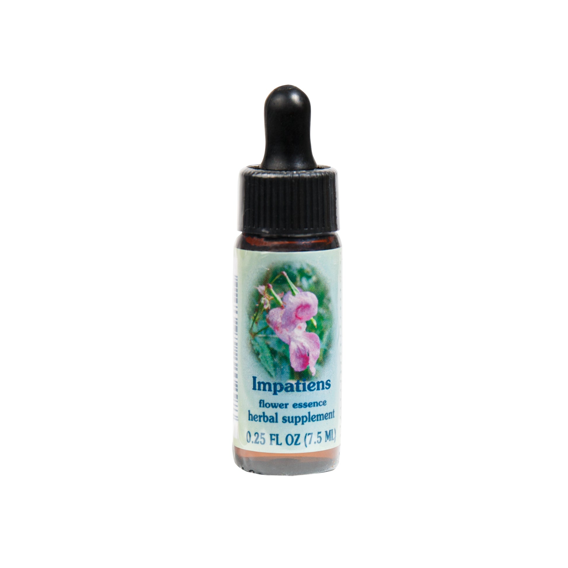 Primary image of Impatiens