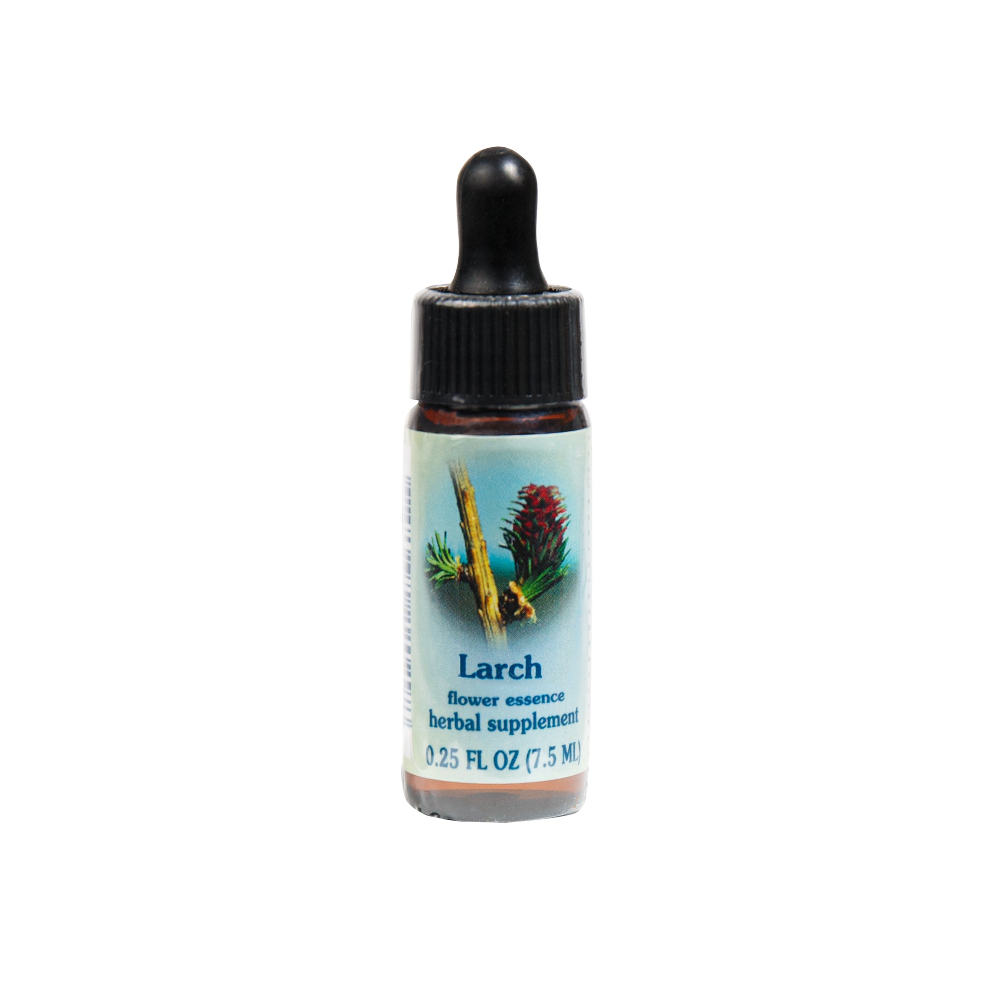 Primary image of Larch