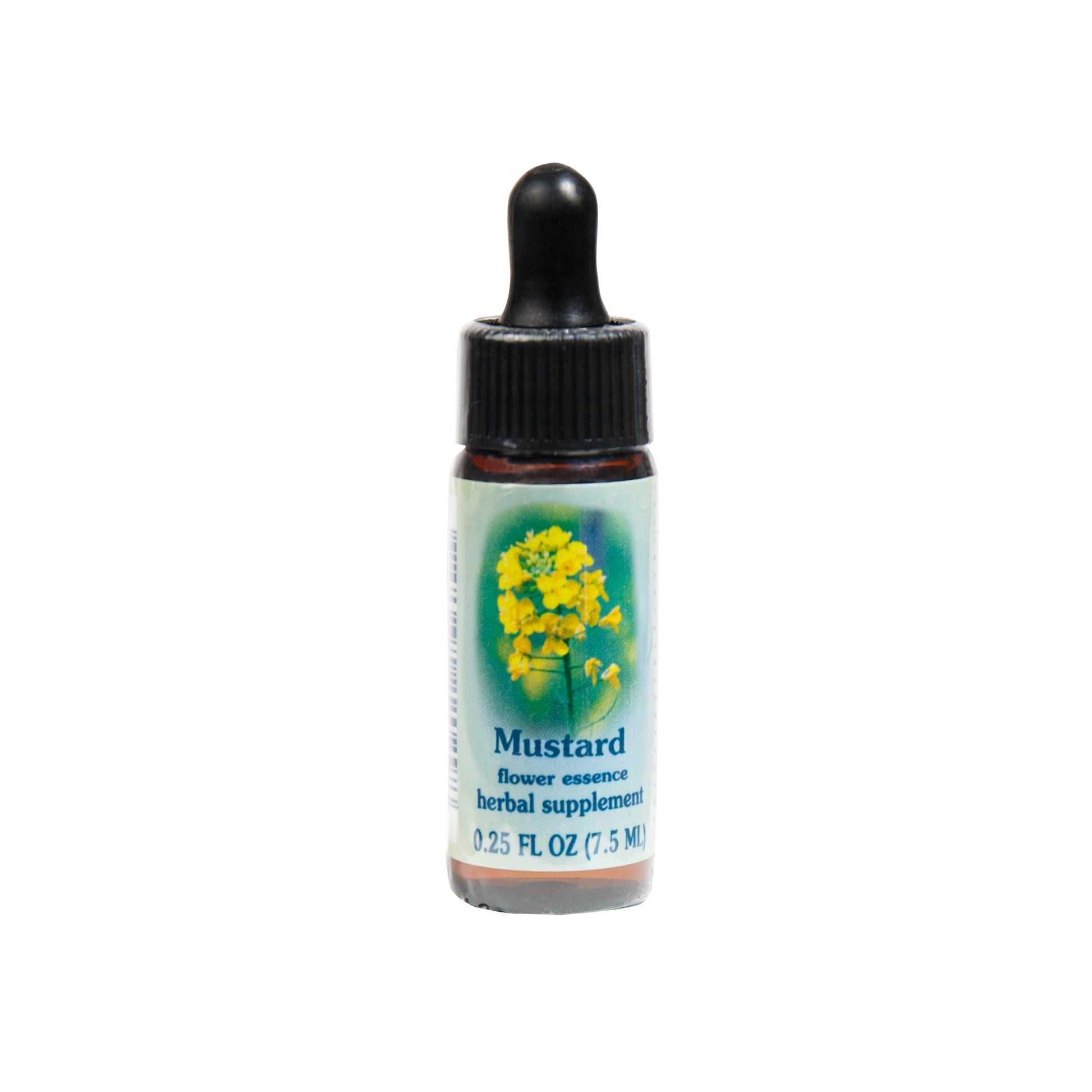 Primary image of Mustard