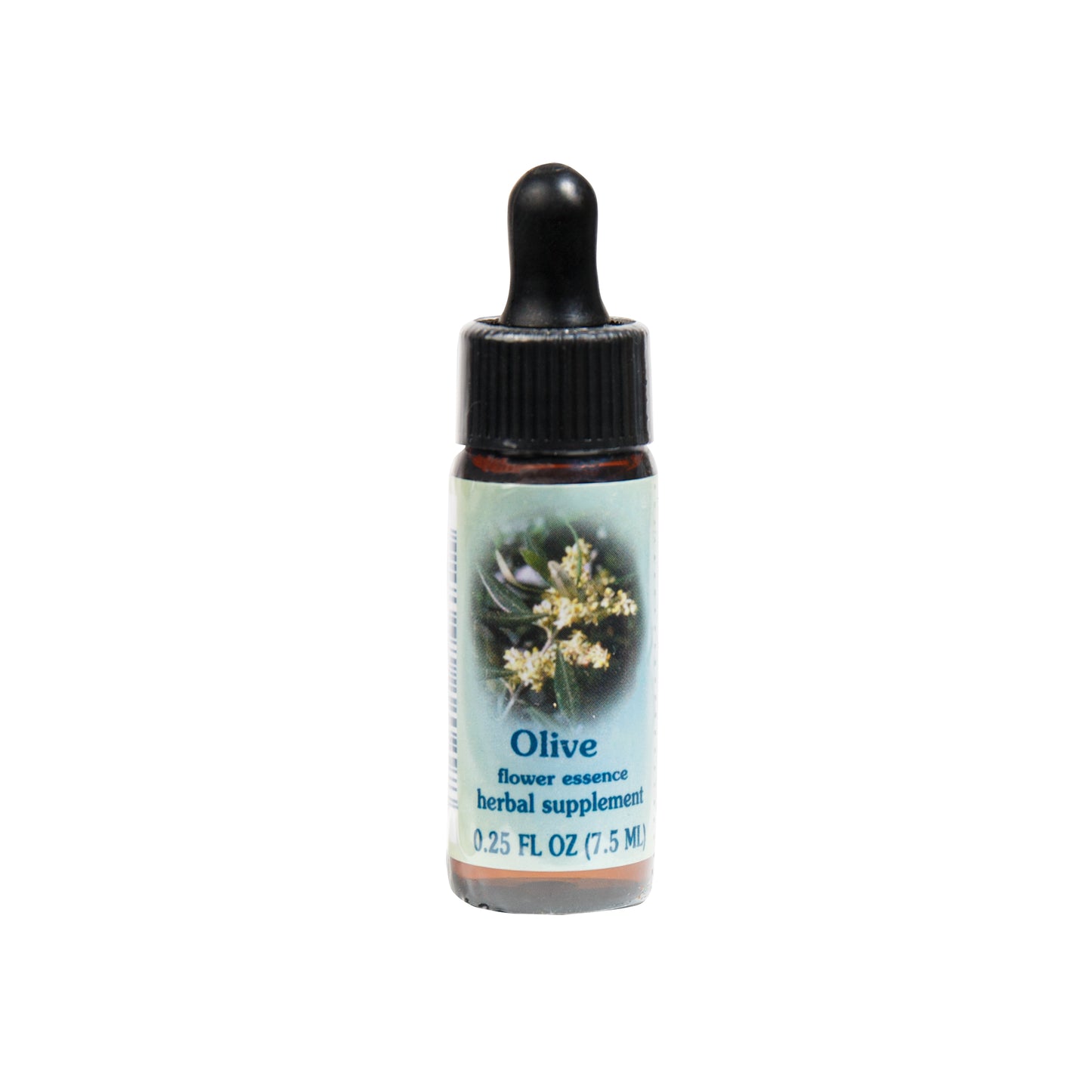 Primary image of Olive