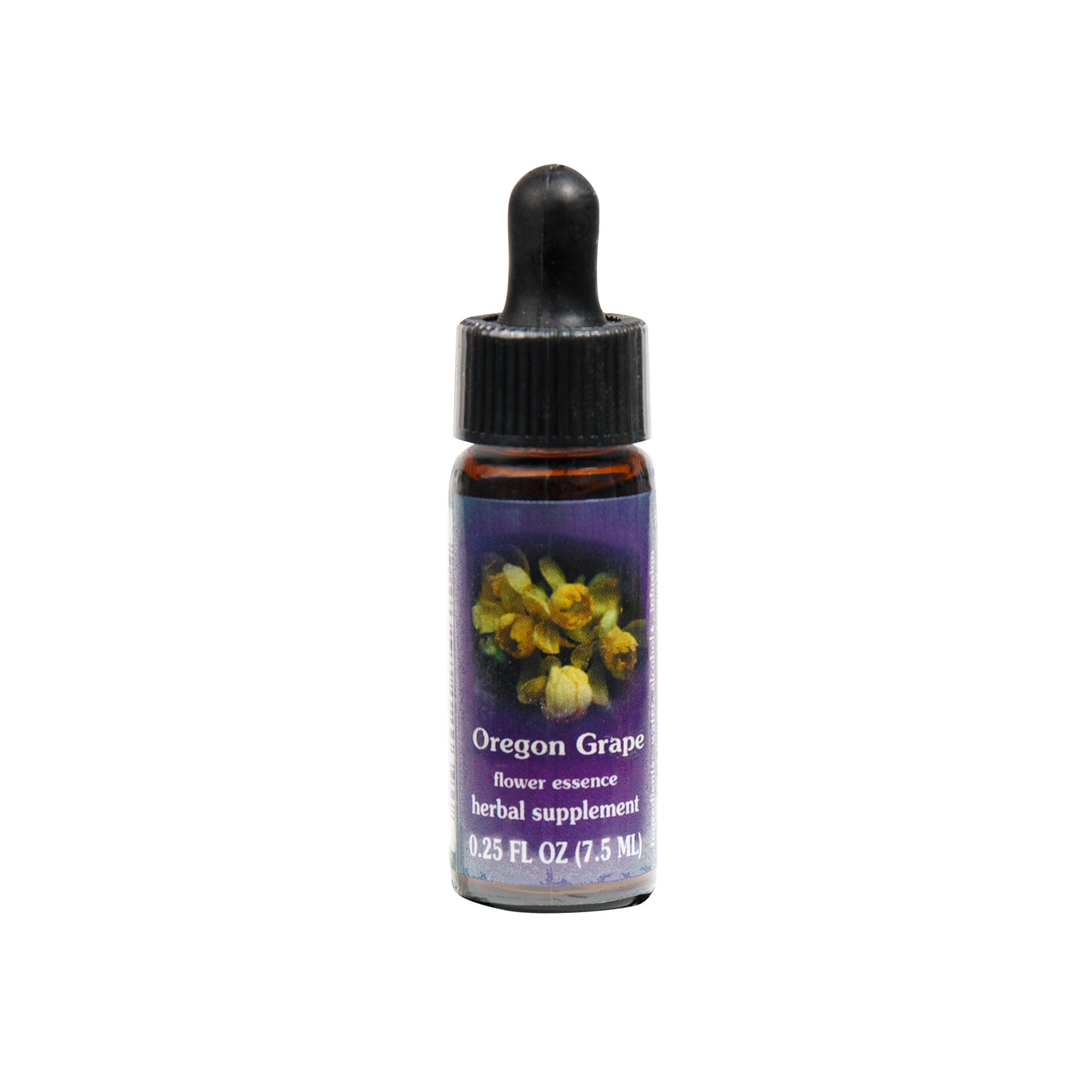 Primary image of Oregon Grape