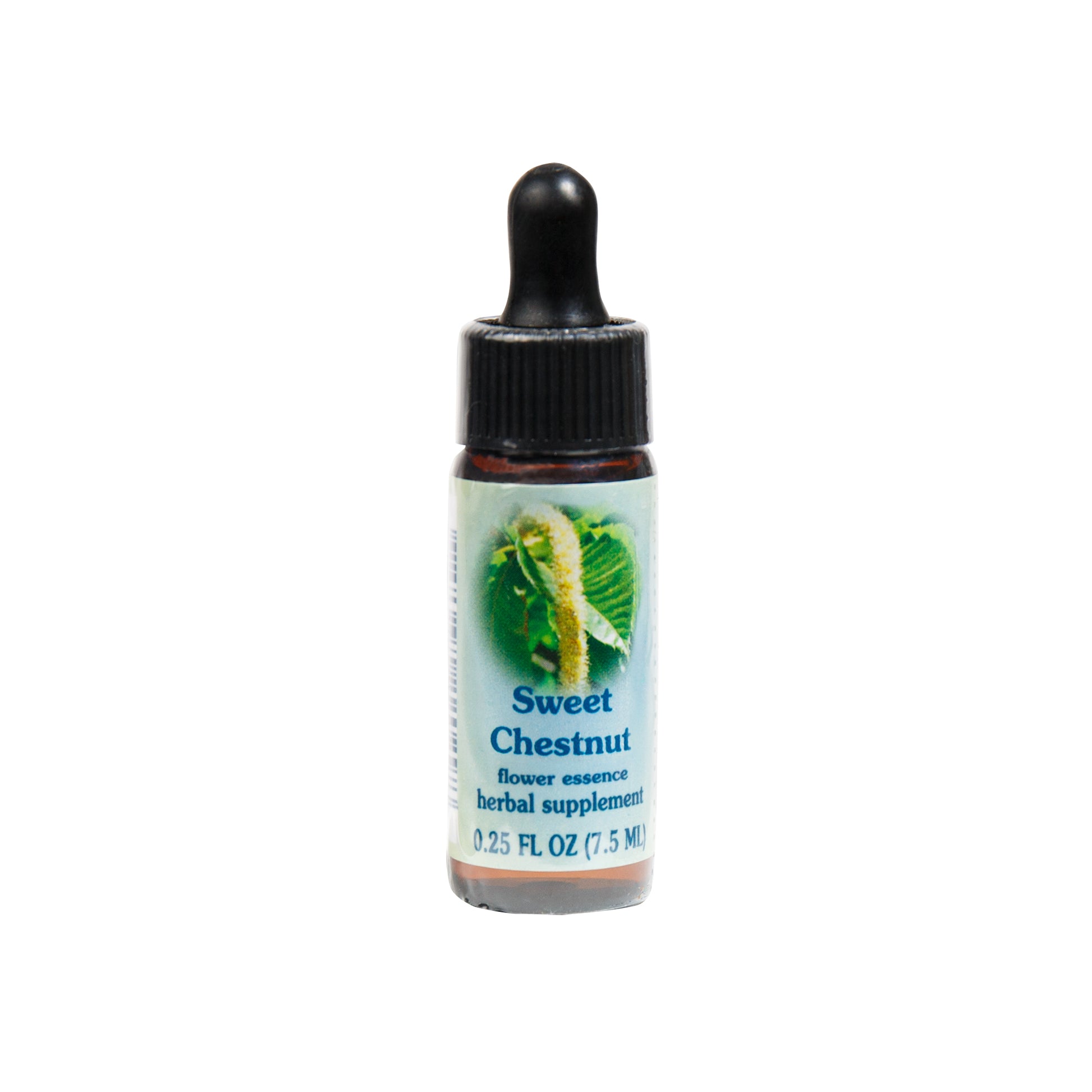 Primary image of Sweet Chestnut