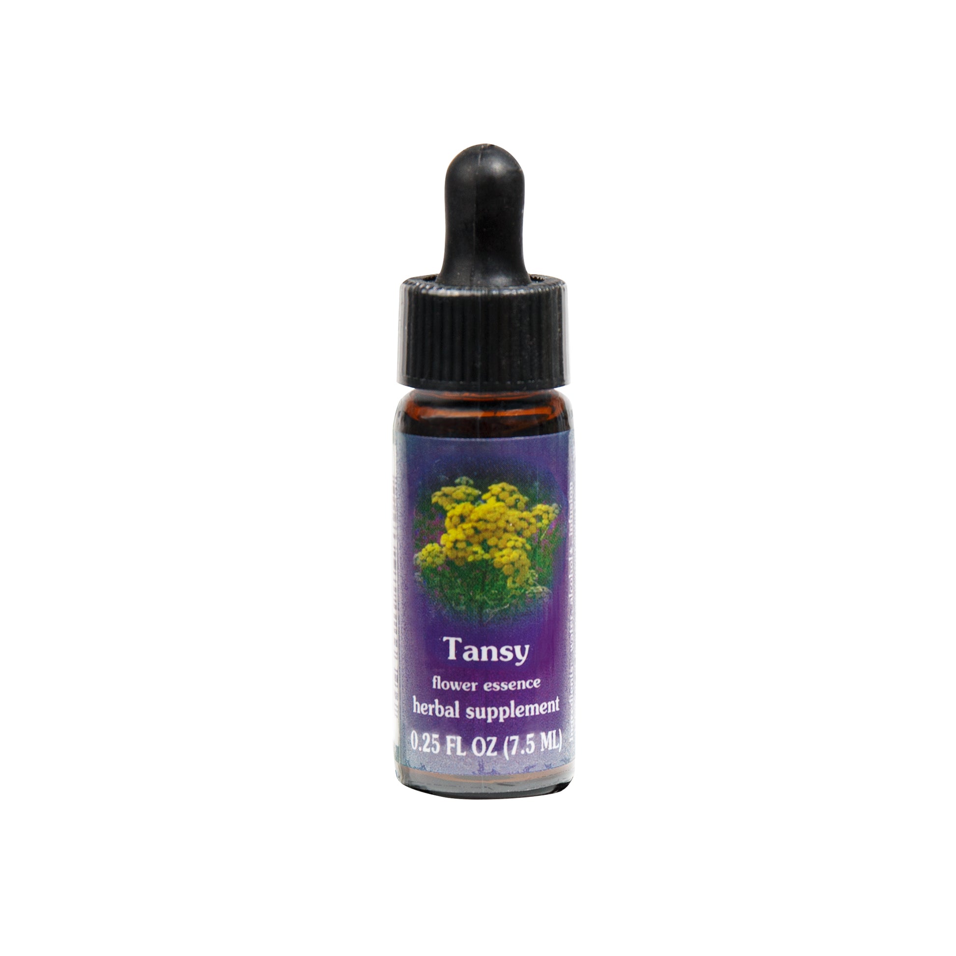Primary image of Tansy