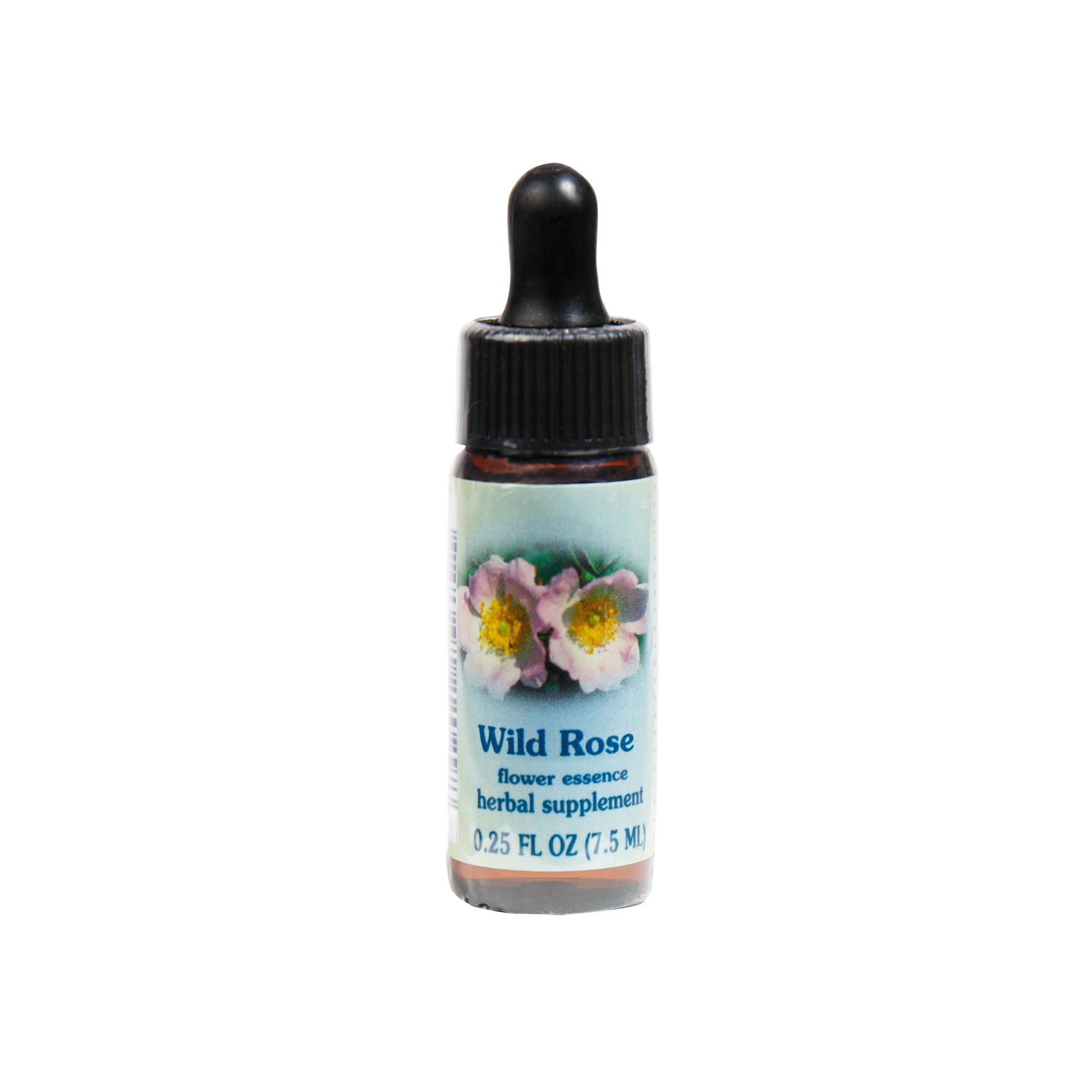 Primary image of Wild Rose