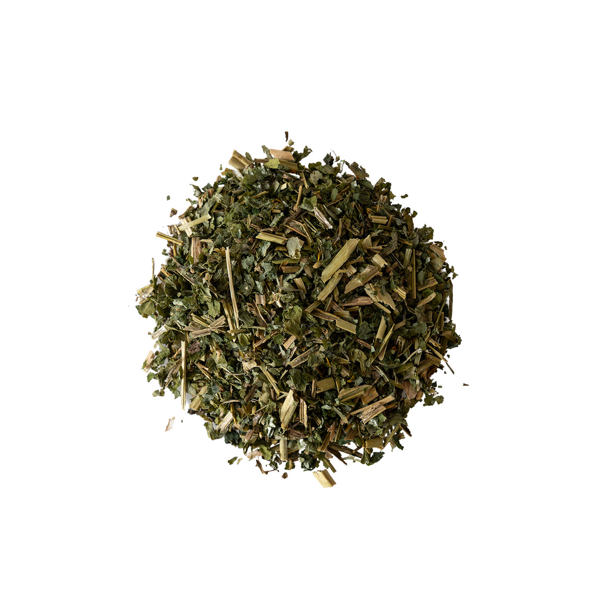 Primary Image of Greater Celandine (Chelidonium majus)