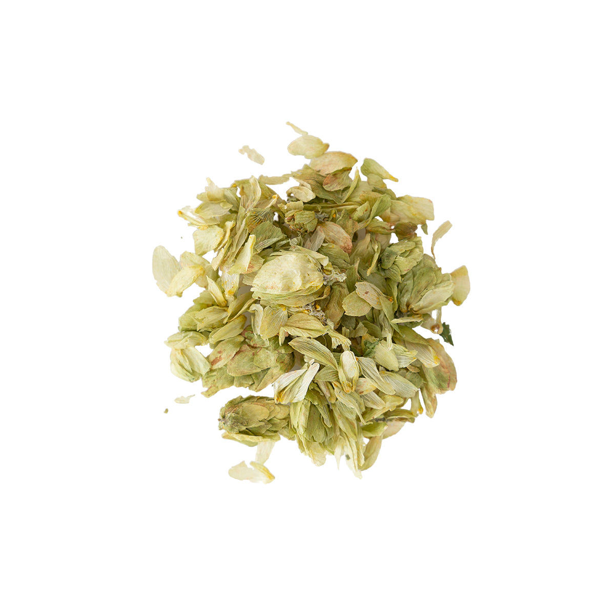 Primary Image of Hops - Whole (Humulus lupulus) 