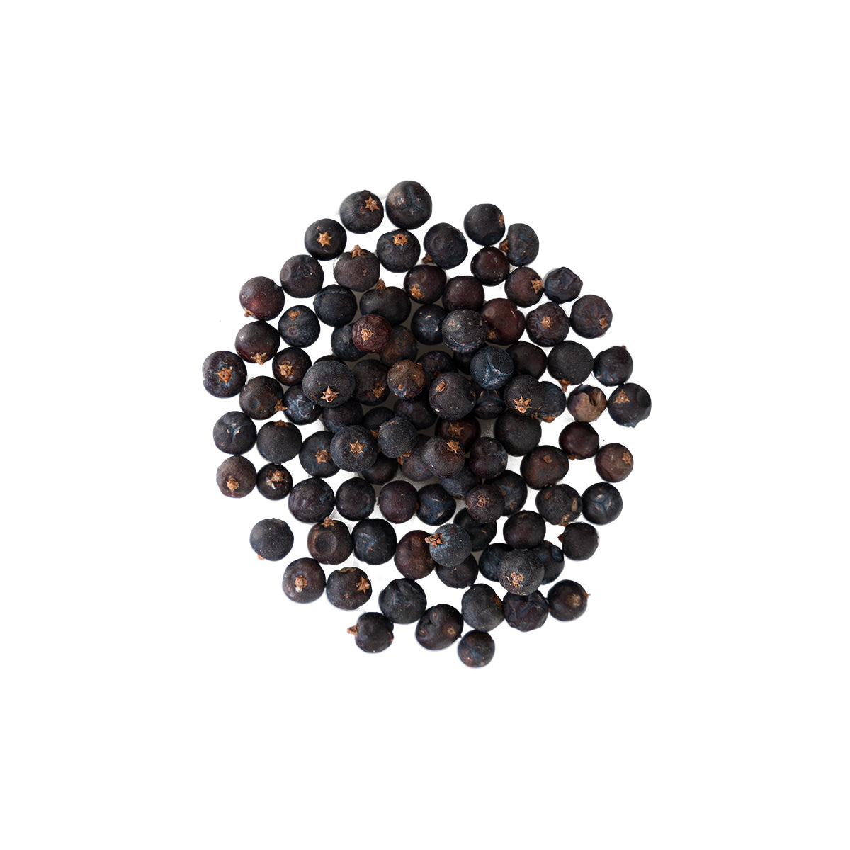 Primary Image of Juniper Berries