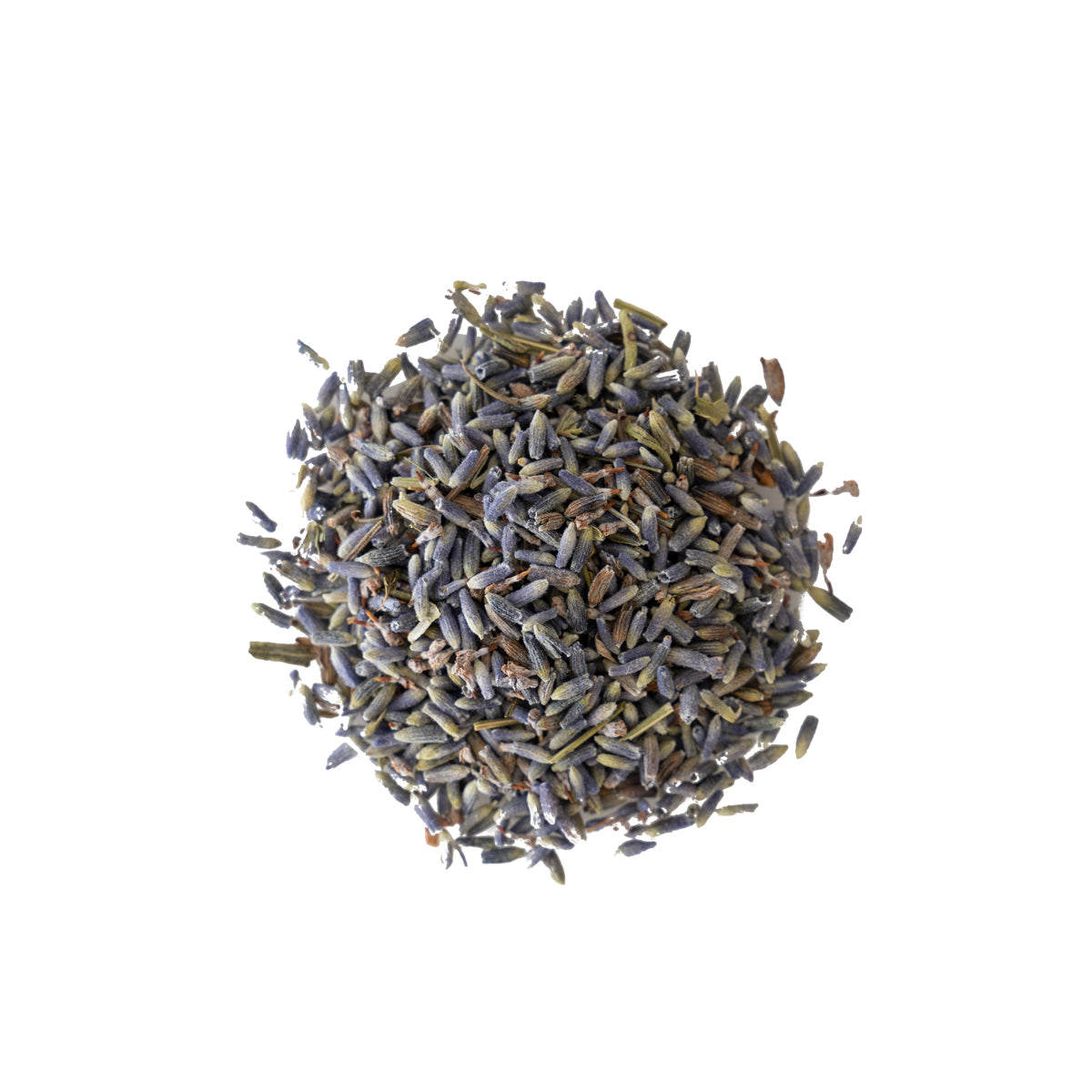 Primary Image of Lavender Flowers (Lavandula)