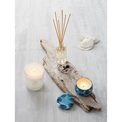 Soap & Paper Factory North Shore Large Soy Candle (9.5 oz) #10084879