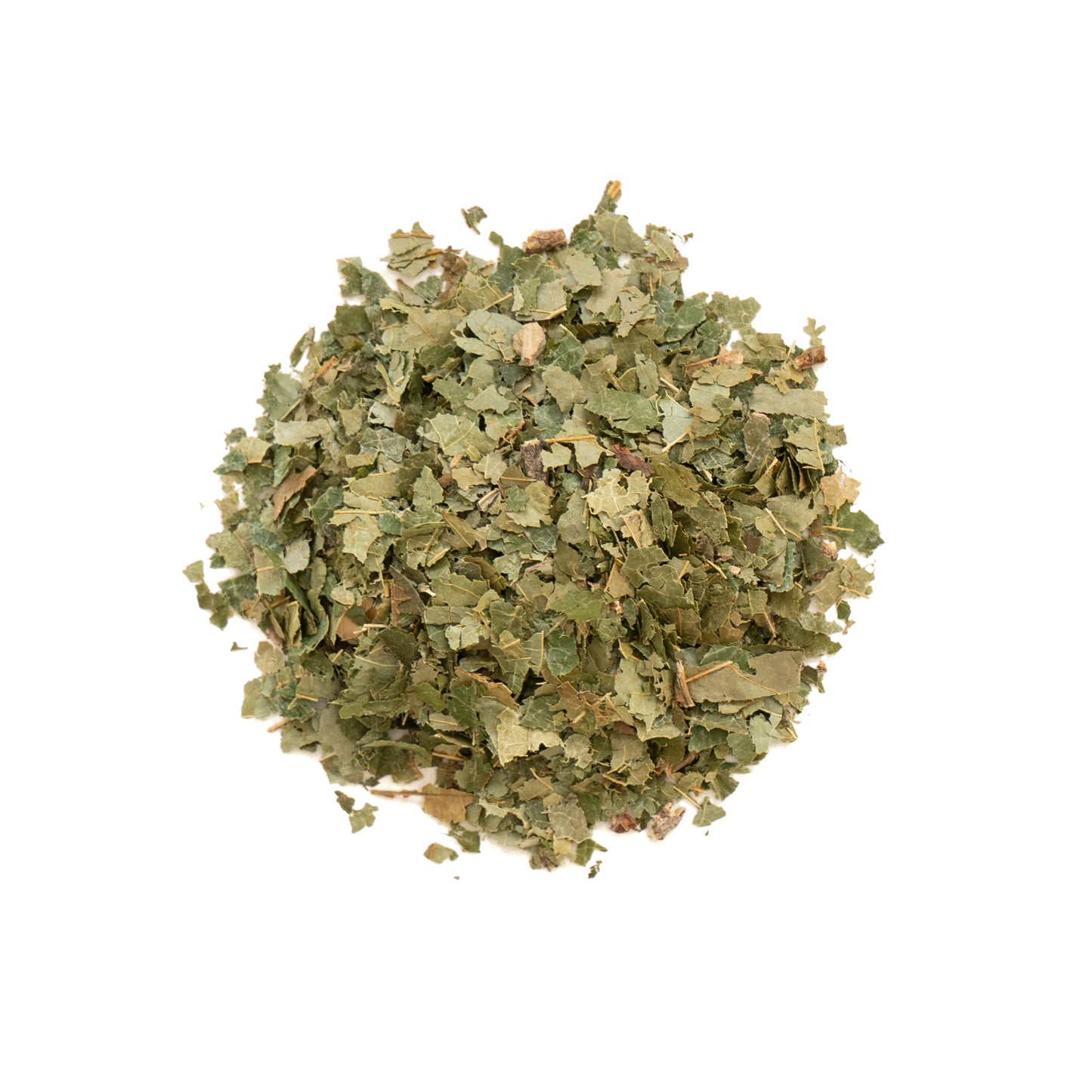 Primary Image of Witch Hazel Leaves - Cut (Hamamelis virginiana)