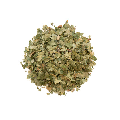 Primary Image of Witch Hazel Leaves - Cut (Hamamelis virginiana)