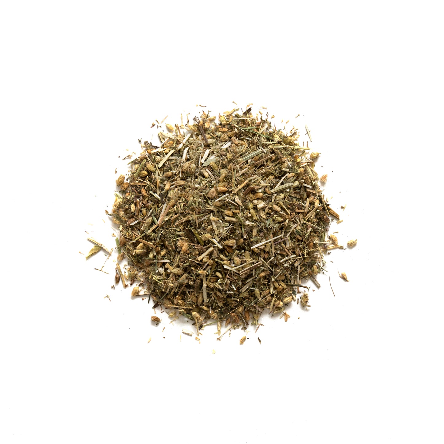 Primary Image of Yarrow (Achillea millefolium)