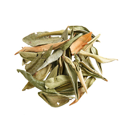 Primary Image of Organic Myrtle Leaf Whole