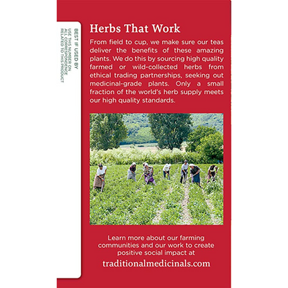 Traditional Medicinals Herbal Cold Care (16 count) #11758