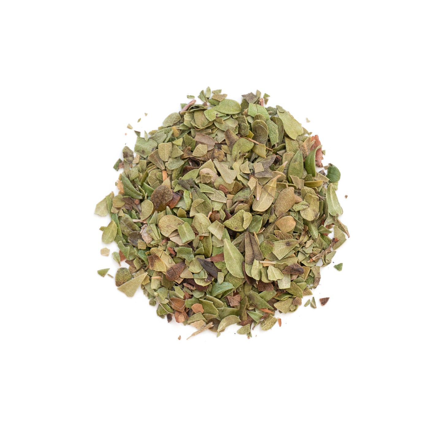 Primary Image of Uva Ursi Leaves