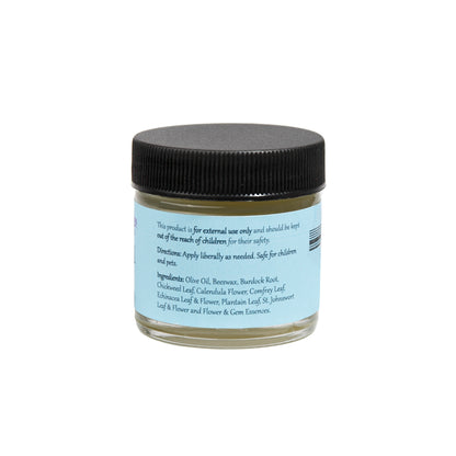 WiseWays Herbals All Heal Salve (1 oz) #24946