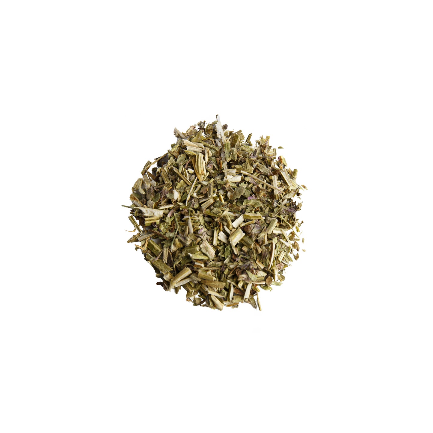 Primary Image of Wood Betony (Stachys officinalis)