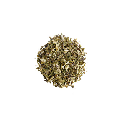 Primary Image of Wood Betony (Stachys officinalis)