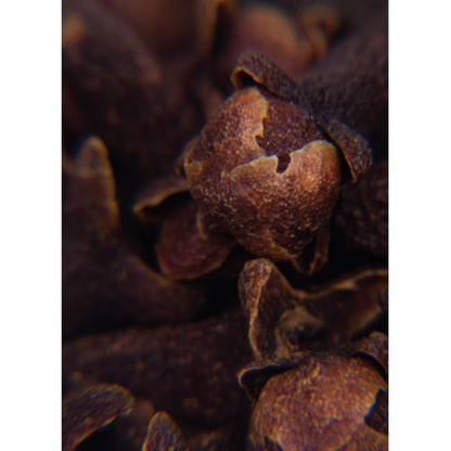 Auroma Clove Bud Essential Oil (0.33 fl oz) #10175