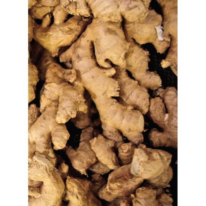 Auroma Ginger Essential Oil (0.33 fl oz) #10201