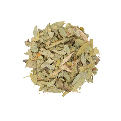 Primary Image of Senna Leaves (Senna alexandrina)